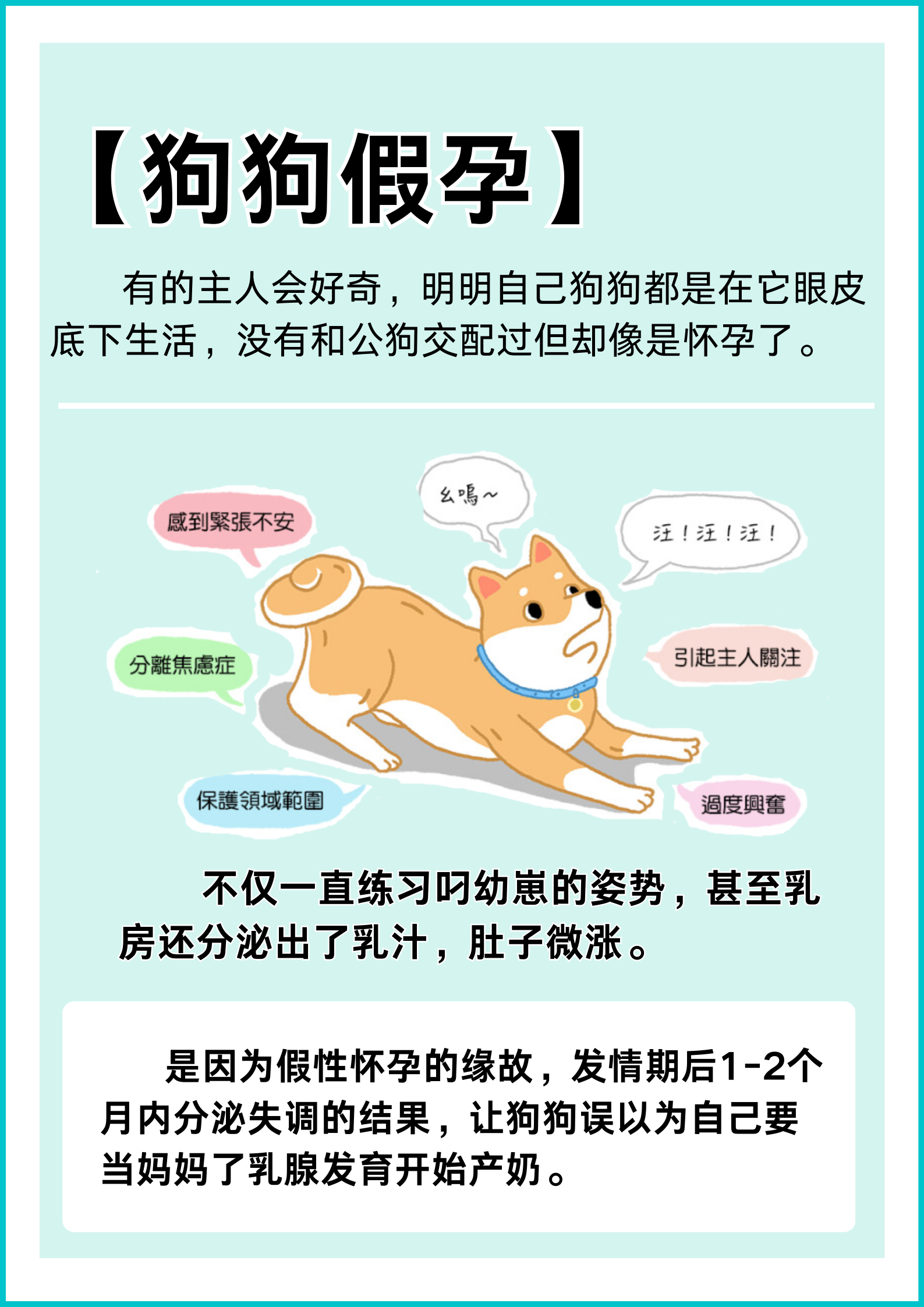 什么是假性怀孕图片