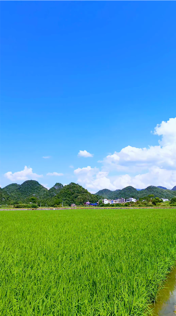 骄阳璀璨辉阡陌, 云朵悠然荡岭巅. 日丽风和春韵满, 村宁景秀瑞光绵
