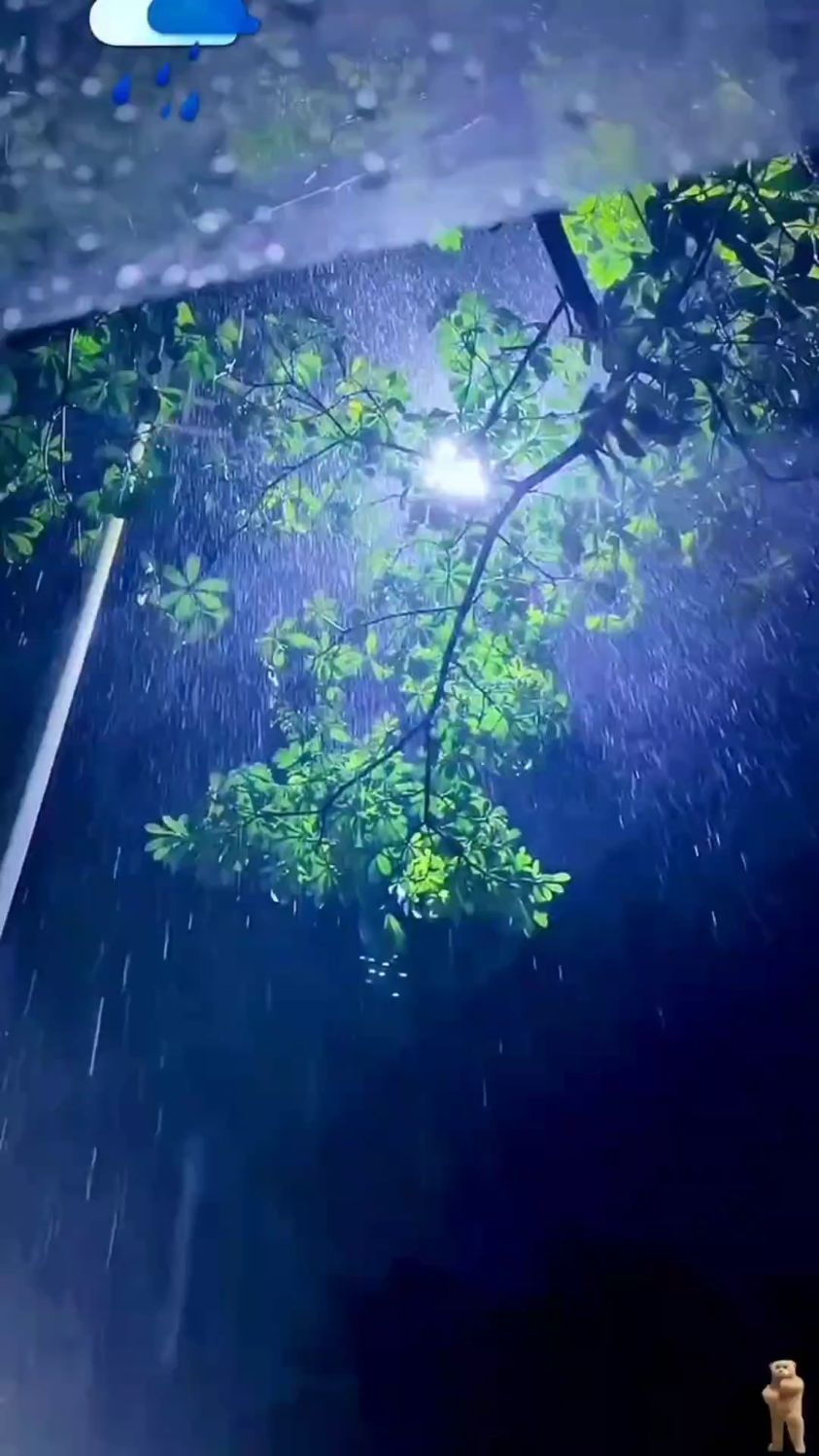 治愈系风景,下雨的夜晚