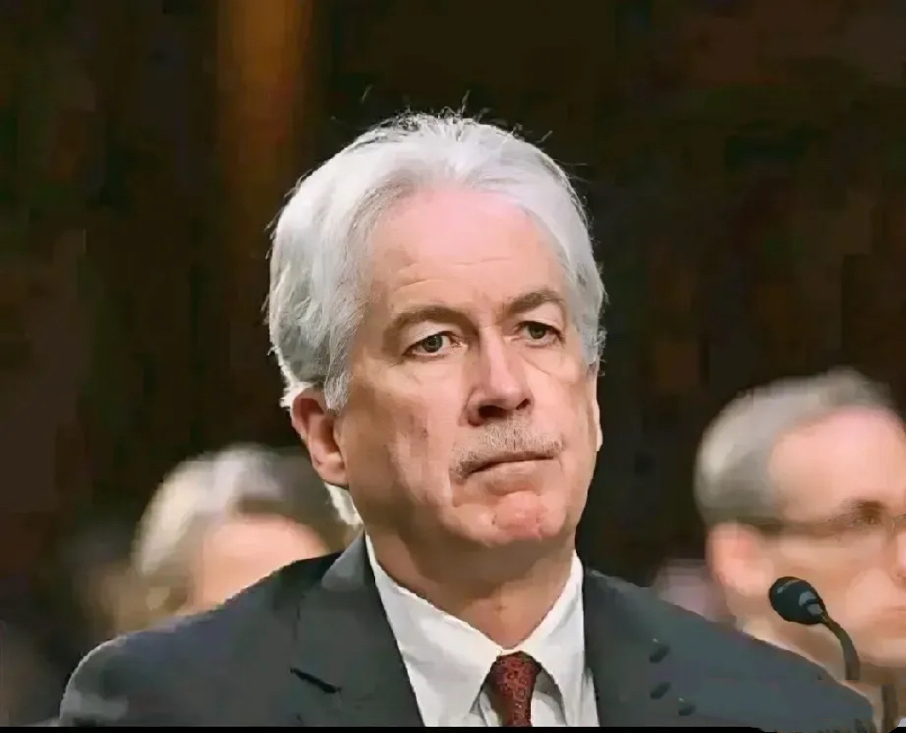 美国新任中央情报局局长威廉·伯恩斯近日表示,新冠病毒并非来自于