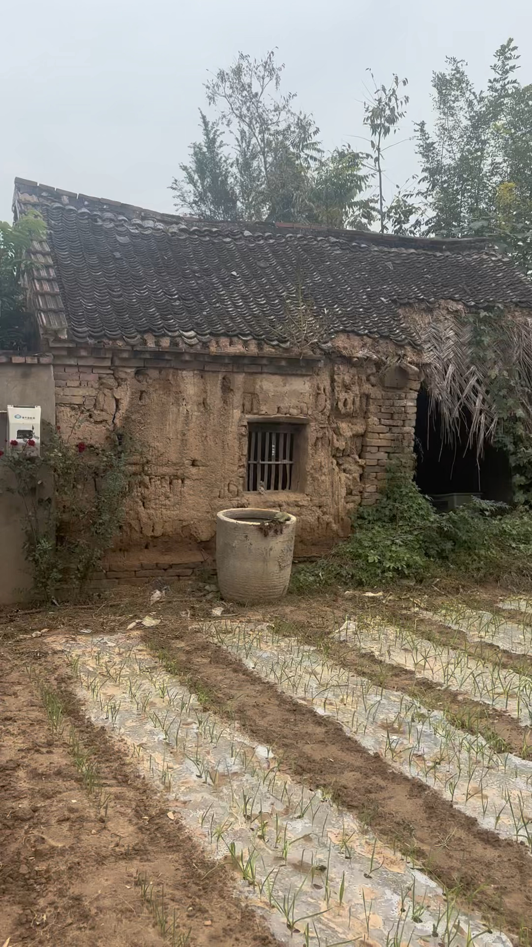 这个老房子是我童年时的家,我在这里度过了无数快乐的时光