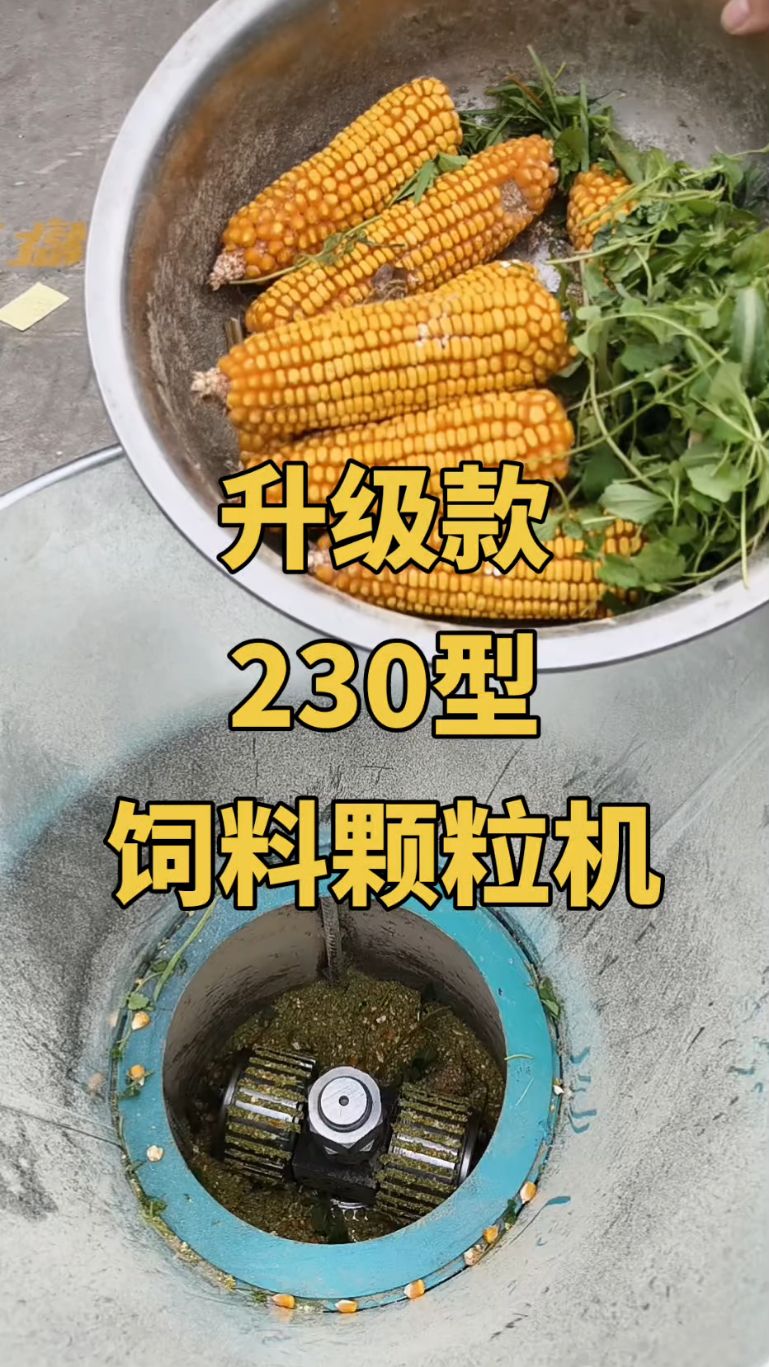 自制简单饲料颗粒机图片