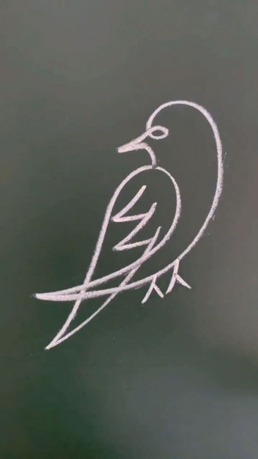 一笔画小鸟,太厉害了