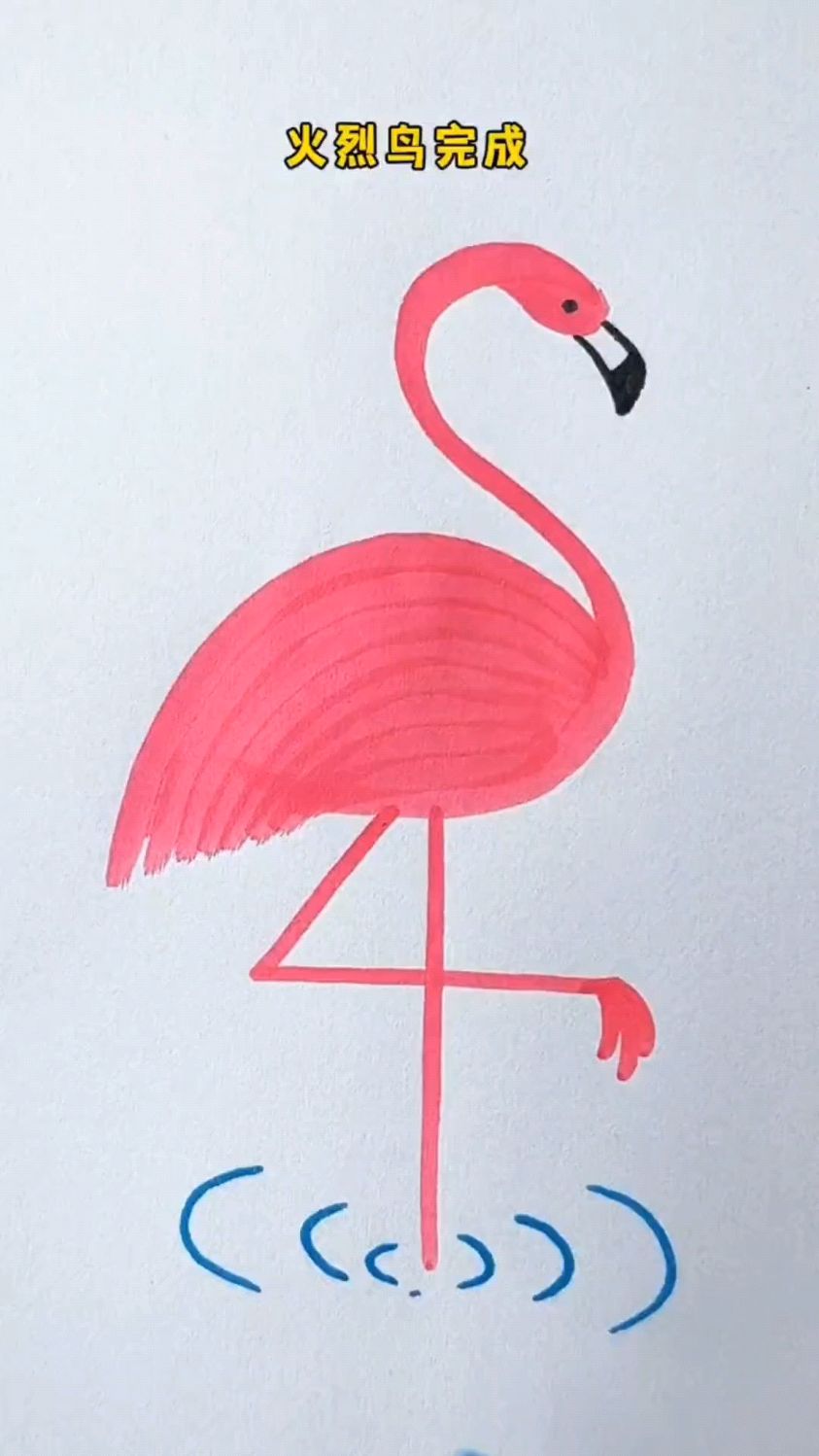 火烈鸟简笔画,赶紧收藏学习吧