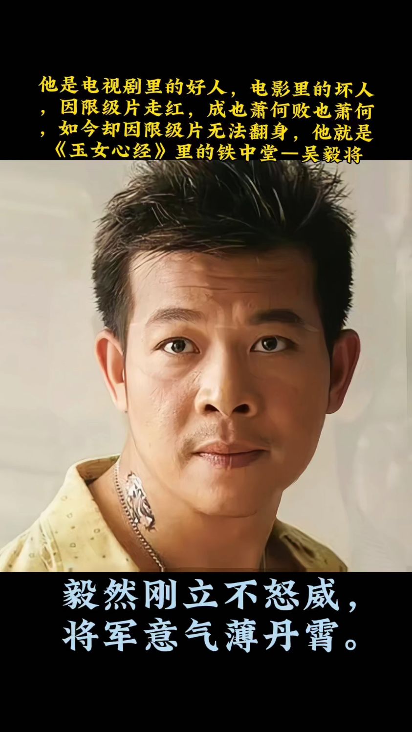 他因限级片走红,成也萧何败也萧何,却因限级片无法翻身