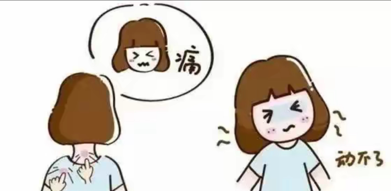 我才54岁,说老了吧,也不也算老,说年轻吧