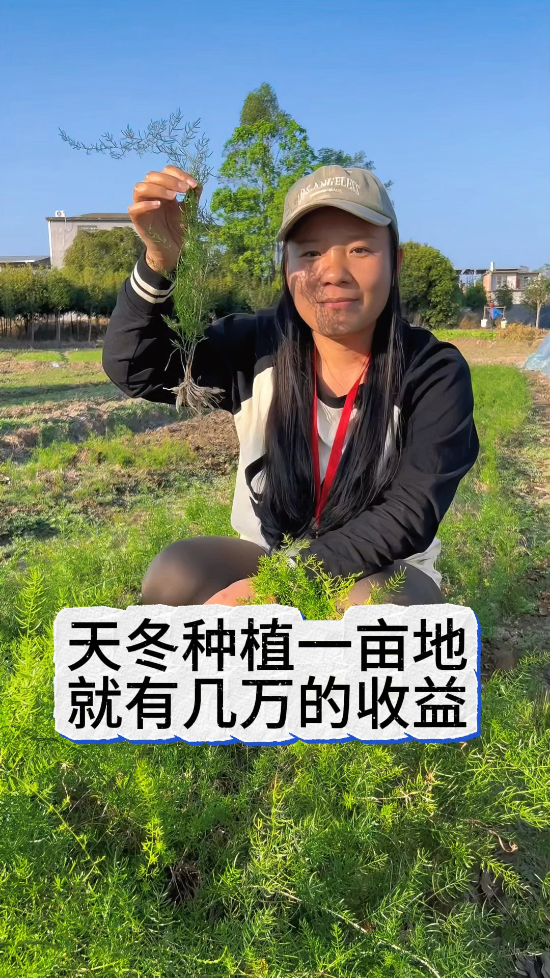 种什么一亩地利润最高(种植什么一亩收入三四万)