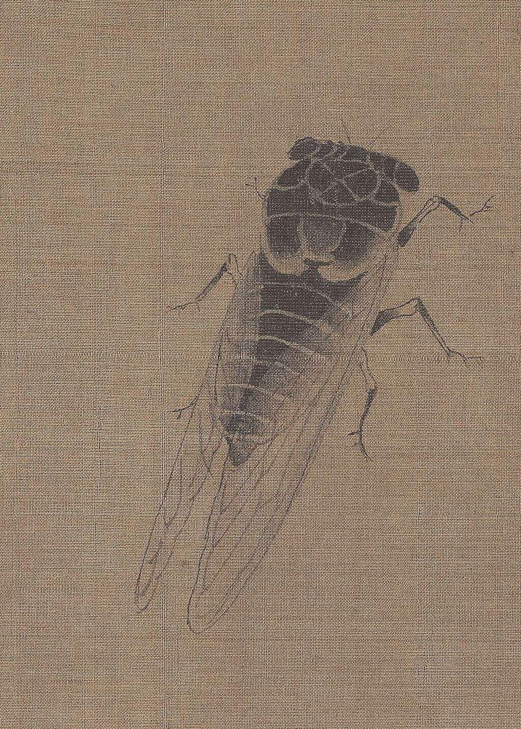 中国古画蝉的画法技巧: