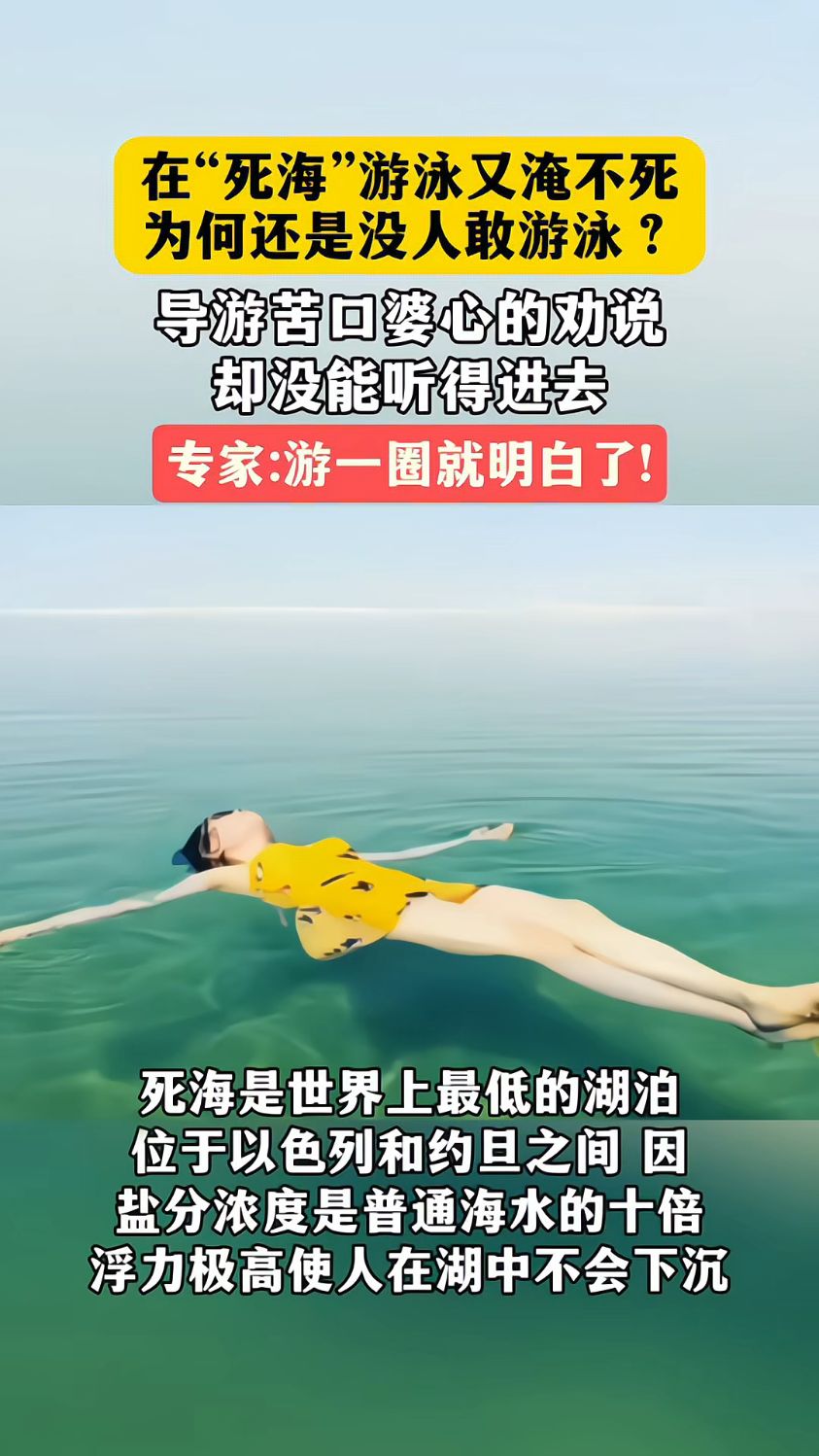 死海在哪里，死海在哪里地图位置