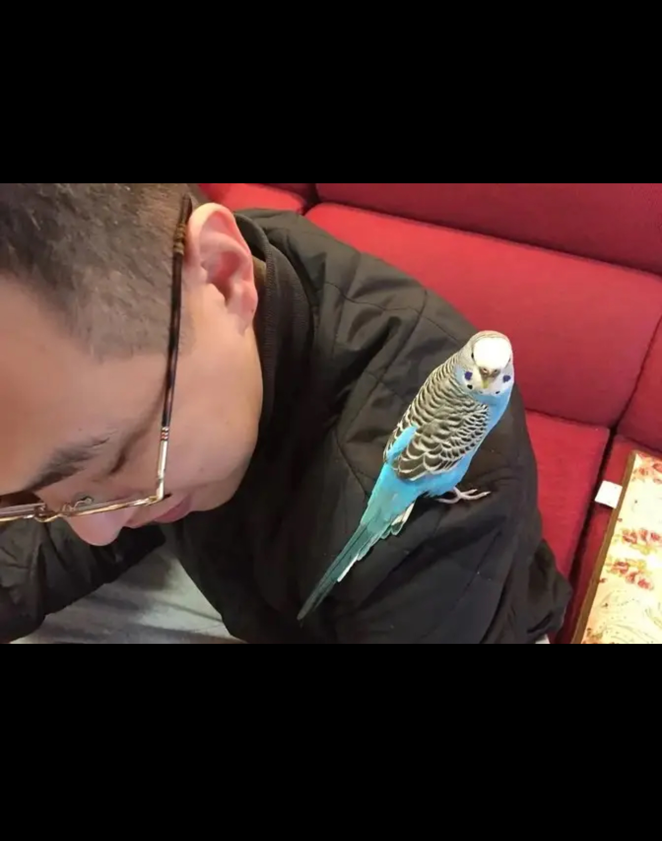 幸福家庭,多少人 蚊乱郧 ?