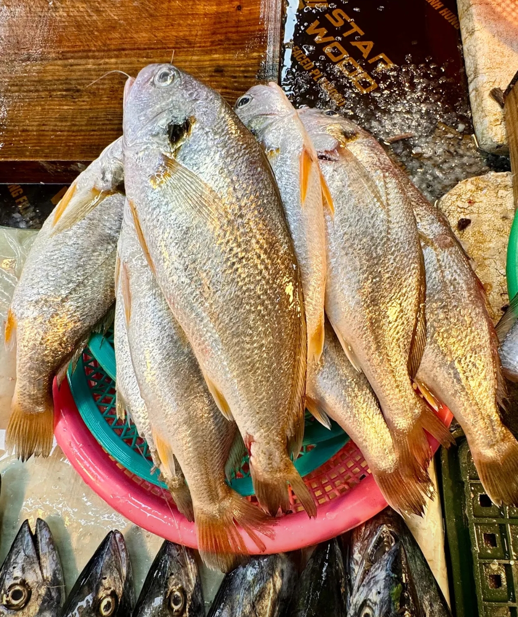 其实啊,如果对某个地方心生喜爱且时间充裕,那就住