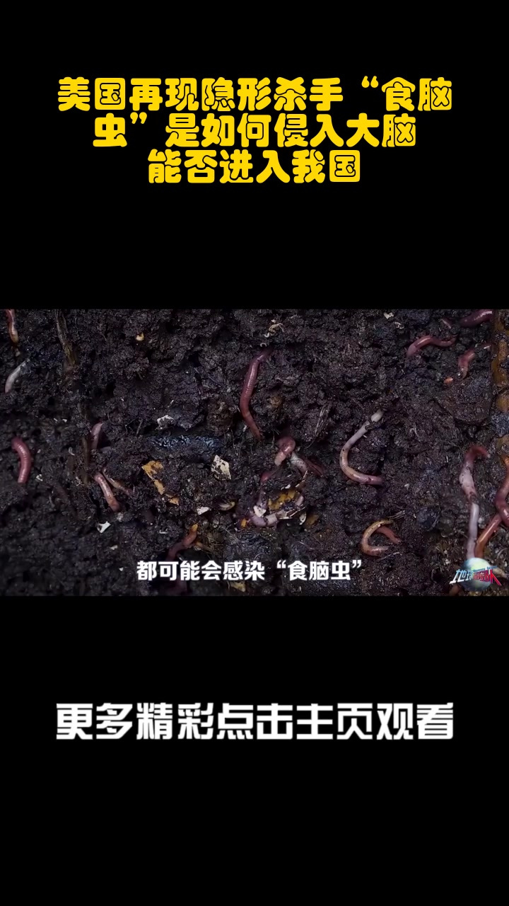 美国再现隐形杀手"食脑虫"是如何侵入大脑,能否进入我国?_3