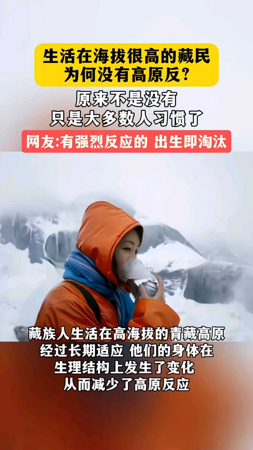 生活在高海拔地区的藏民之所以似乎没有高原反应