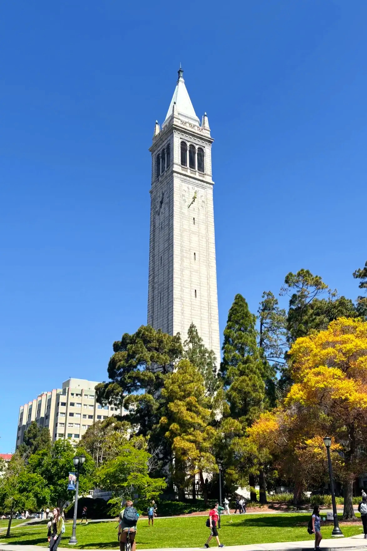 别小看加州大学伯克利分校虽然名字里有个分校但这学校在美国可是