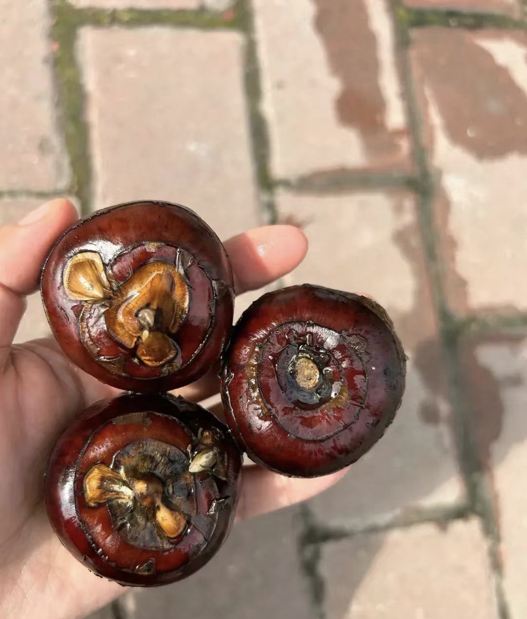 立春后多吃这10种食物 第一种马蹄 第二种春笋 第三种豆芽 第四