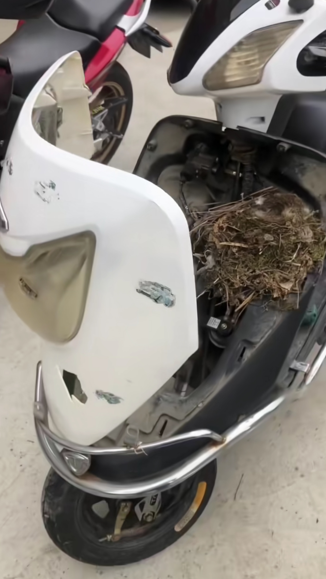 那辆踏板车被闲置在角落已久,久放不骑,竟成了一方小小天地