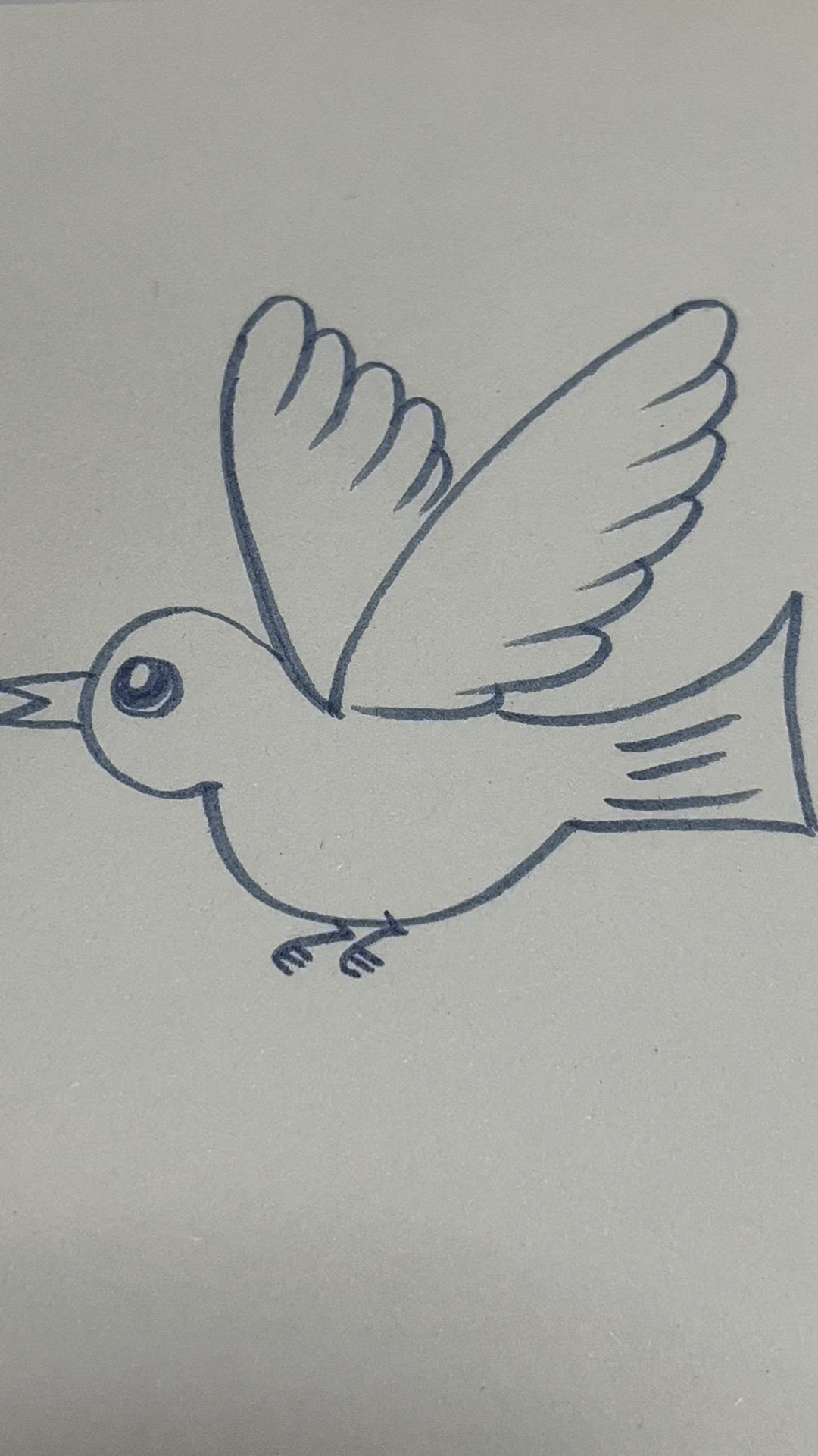 小鸟简笔画教程视频