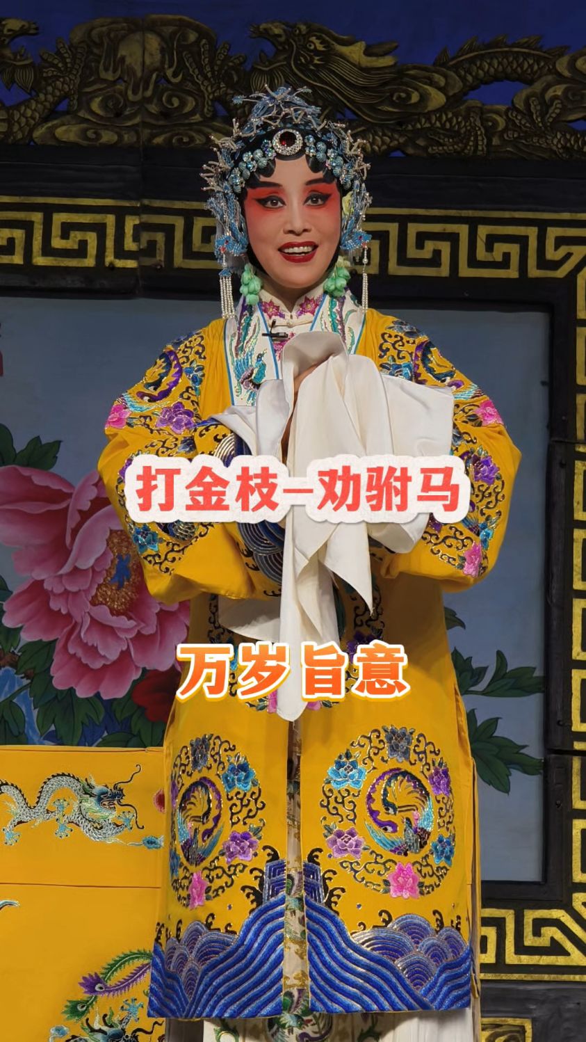 豫剧打金枝,岳母娘劝女婿,明事理#戏曲 #豫剧 #打金枝 黄爱菊版