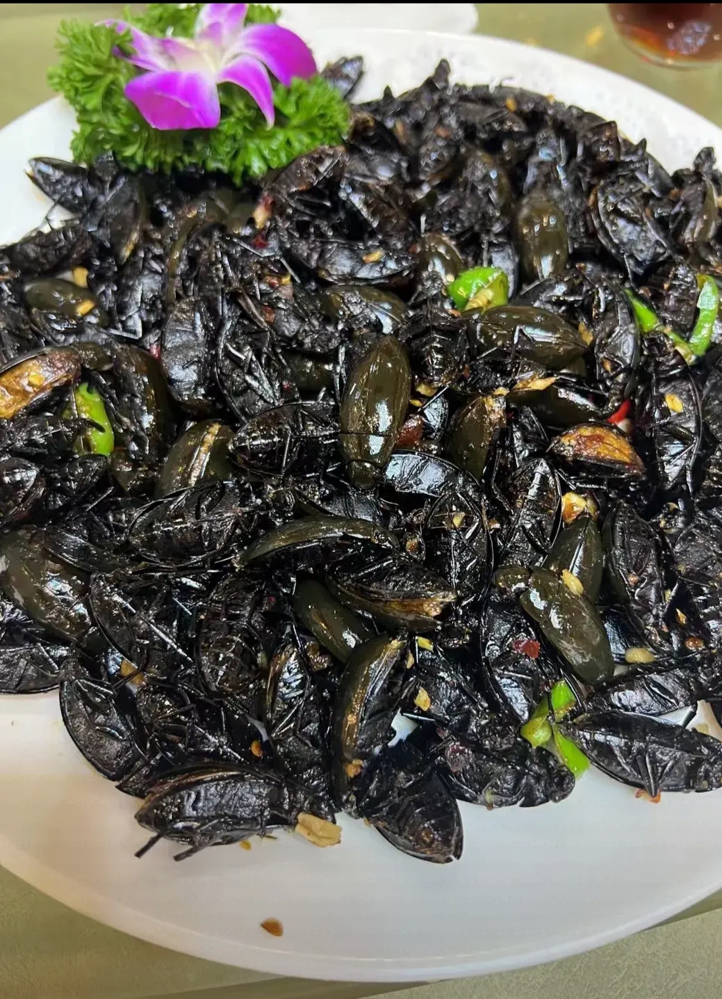 广东人连蟑螂都吃?还有什么不敢吃的?