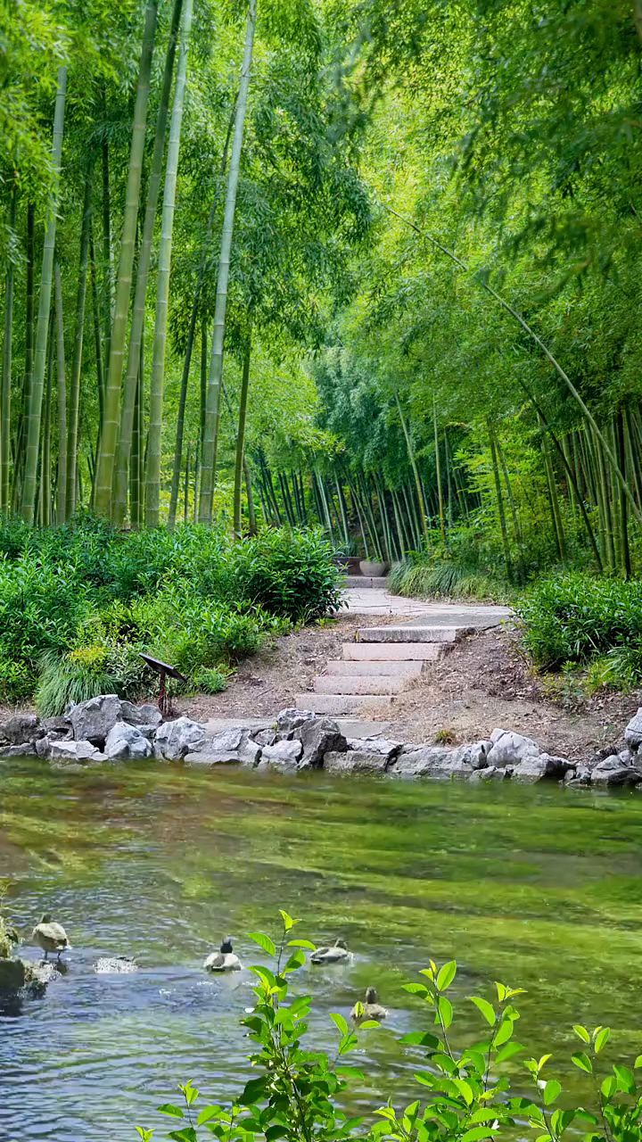 最美的风景如画面