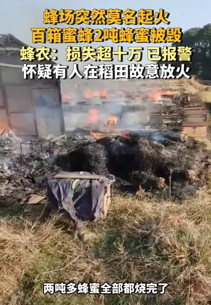 真蜂蜜用火烧了以后是什么样子(蜂蜜火烧一下怎么辨别) 真蜂蜜用火烧了以后是什么样子(蜂蜜火烧一下怎么辨别)