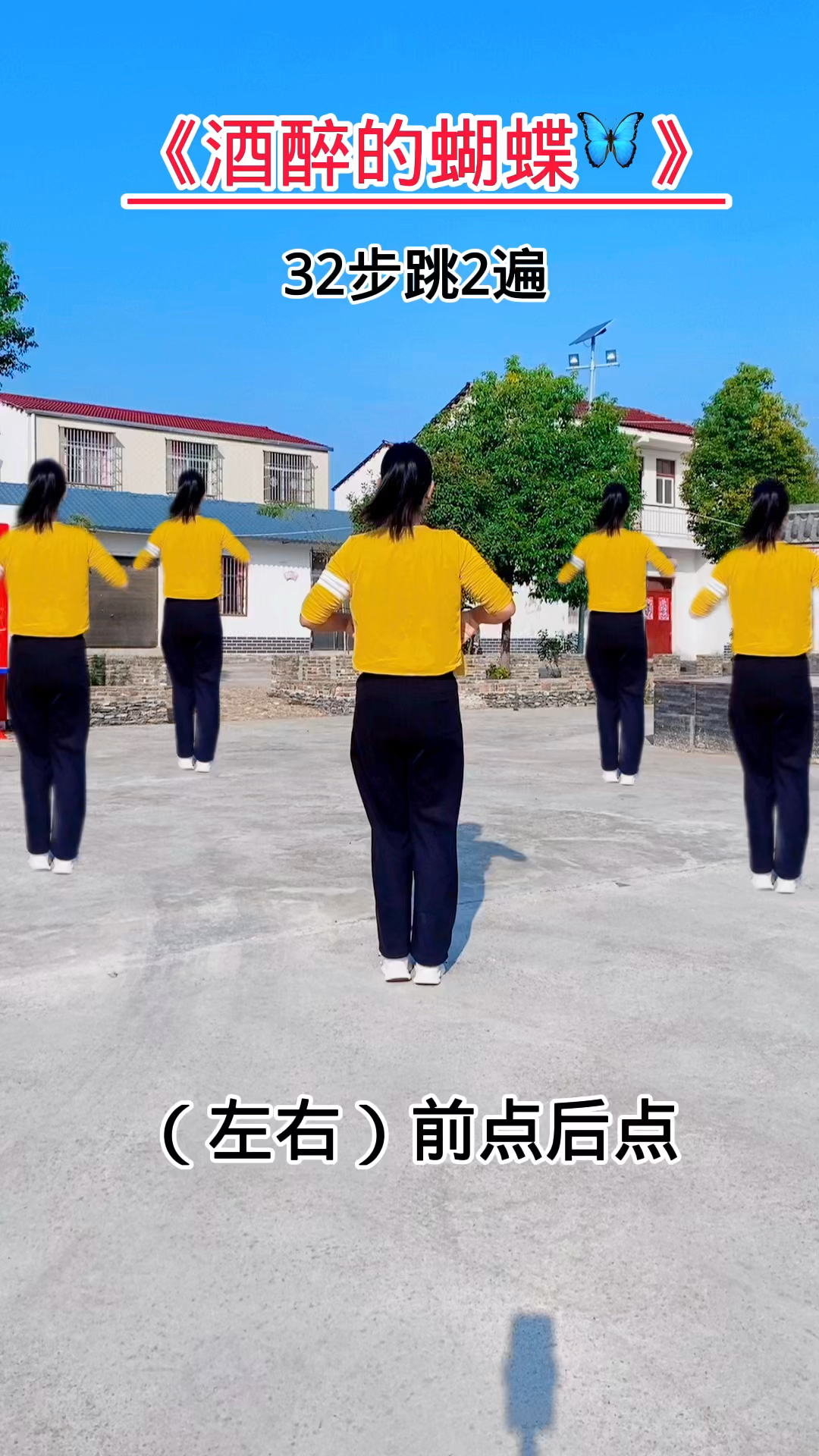 酒醉的蝴蝶32步好看