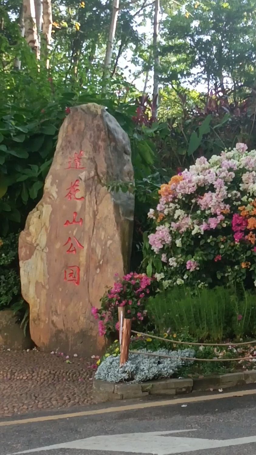 莲花山公园的一个门