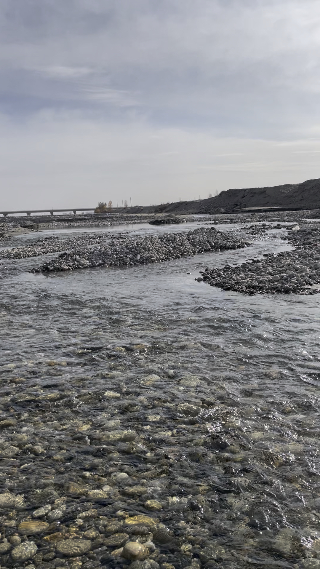 在玉龙喀什河是真能捡到和田玉!