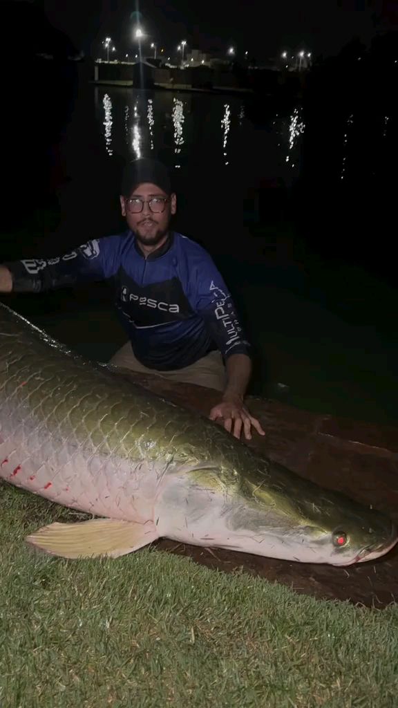 国外老哥钓到一条巨大的巨骨舌鱼