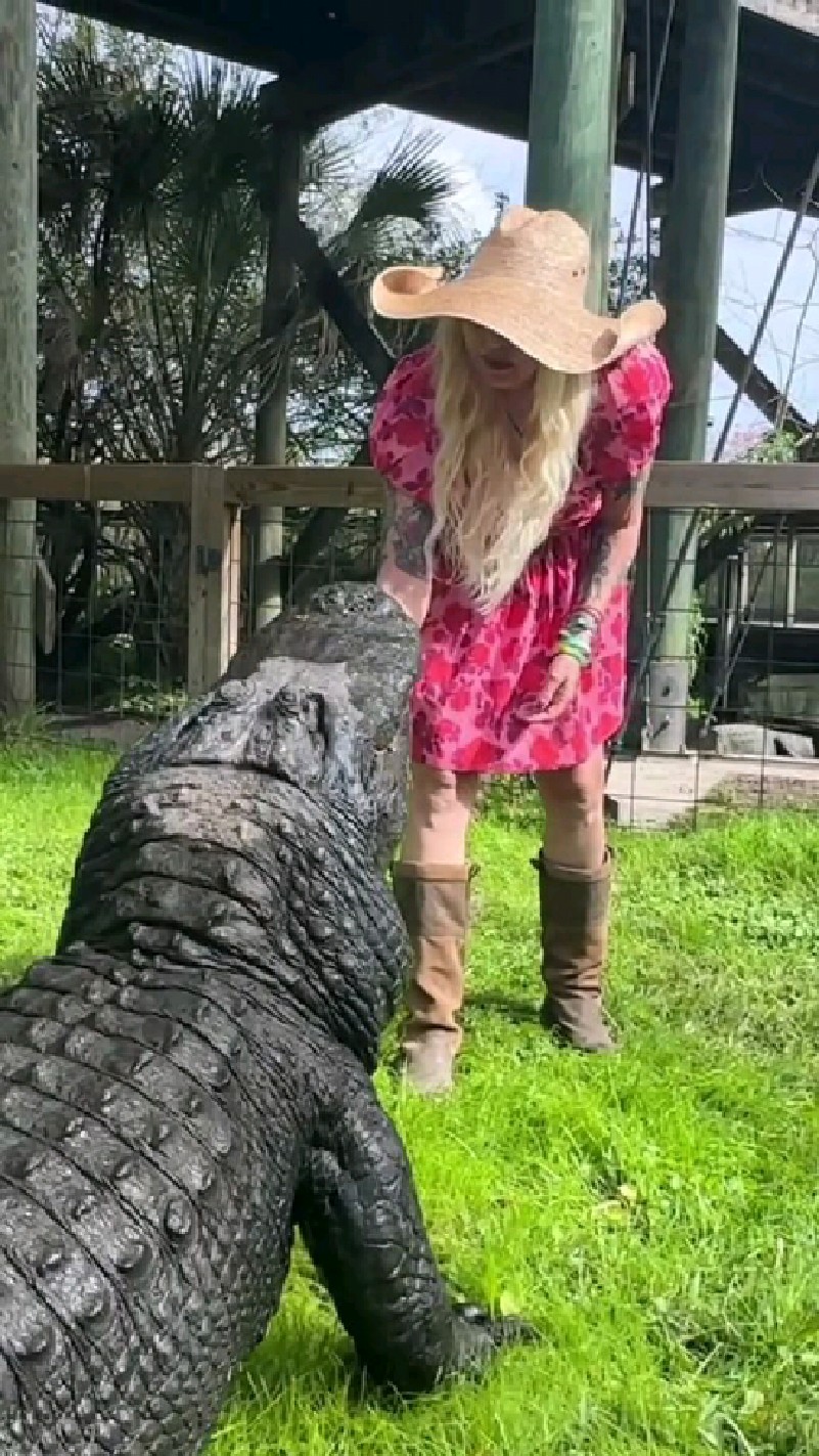 国外美女喂鳄鱼