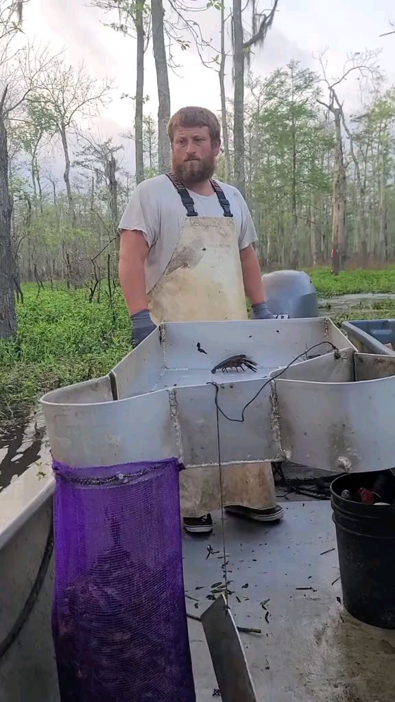 国外老哥户外捕捉小龙虾