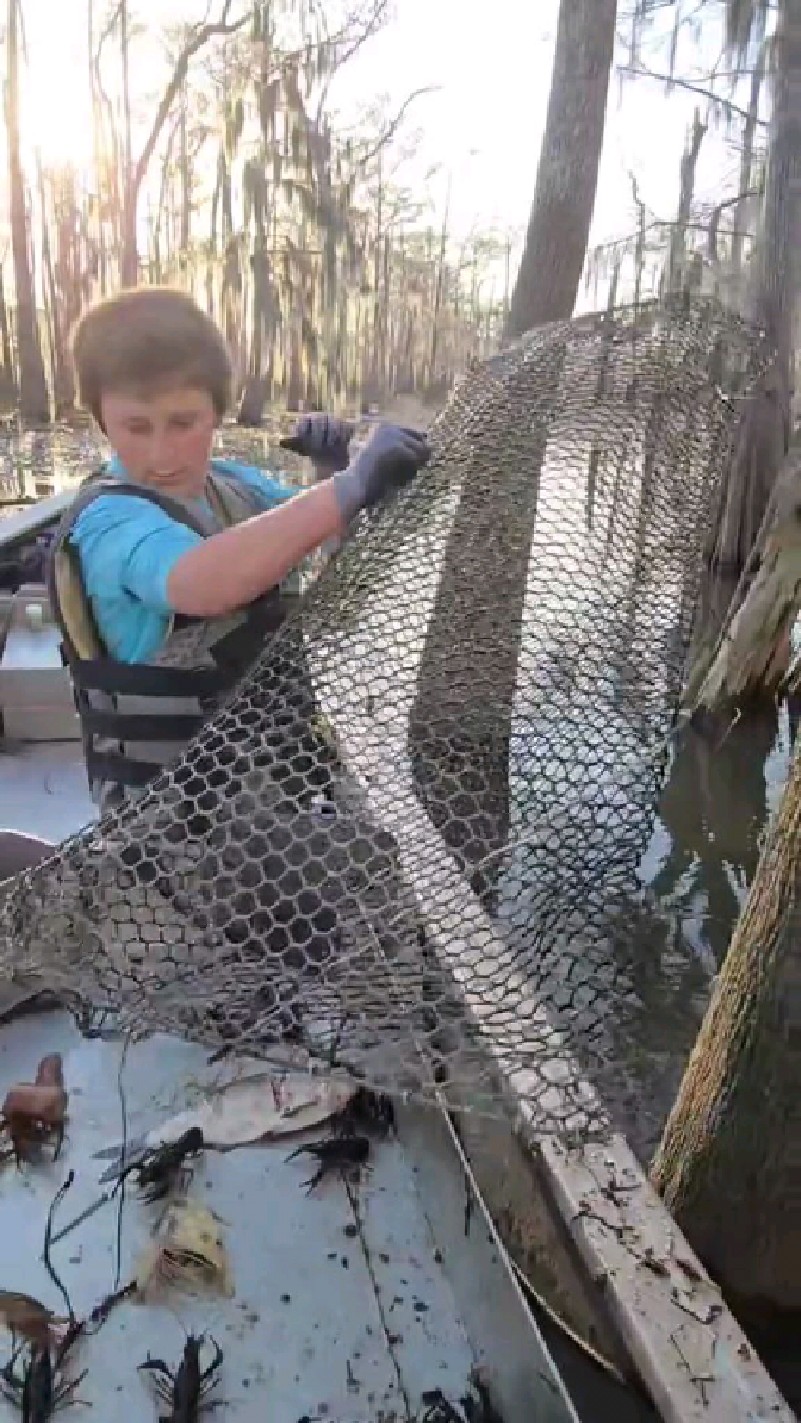 国外小伙子户外捕捉小龙虾