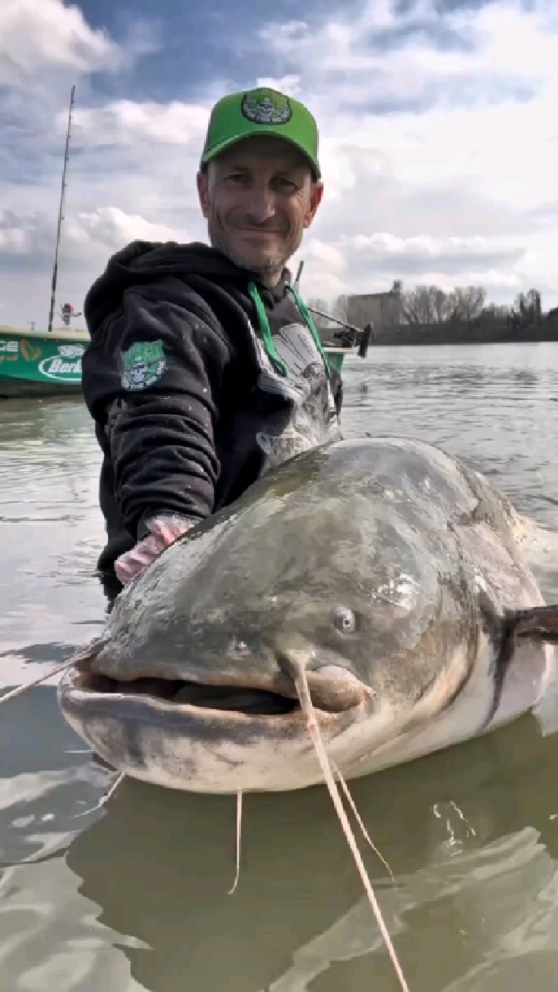 国外老哥钓到一条大鲶鱼