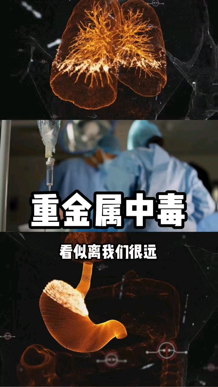 守护健康,远离重金属中毒