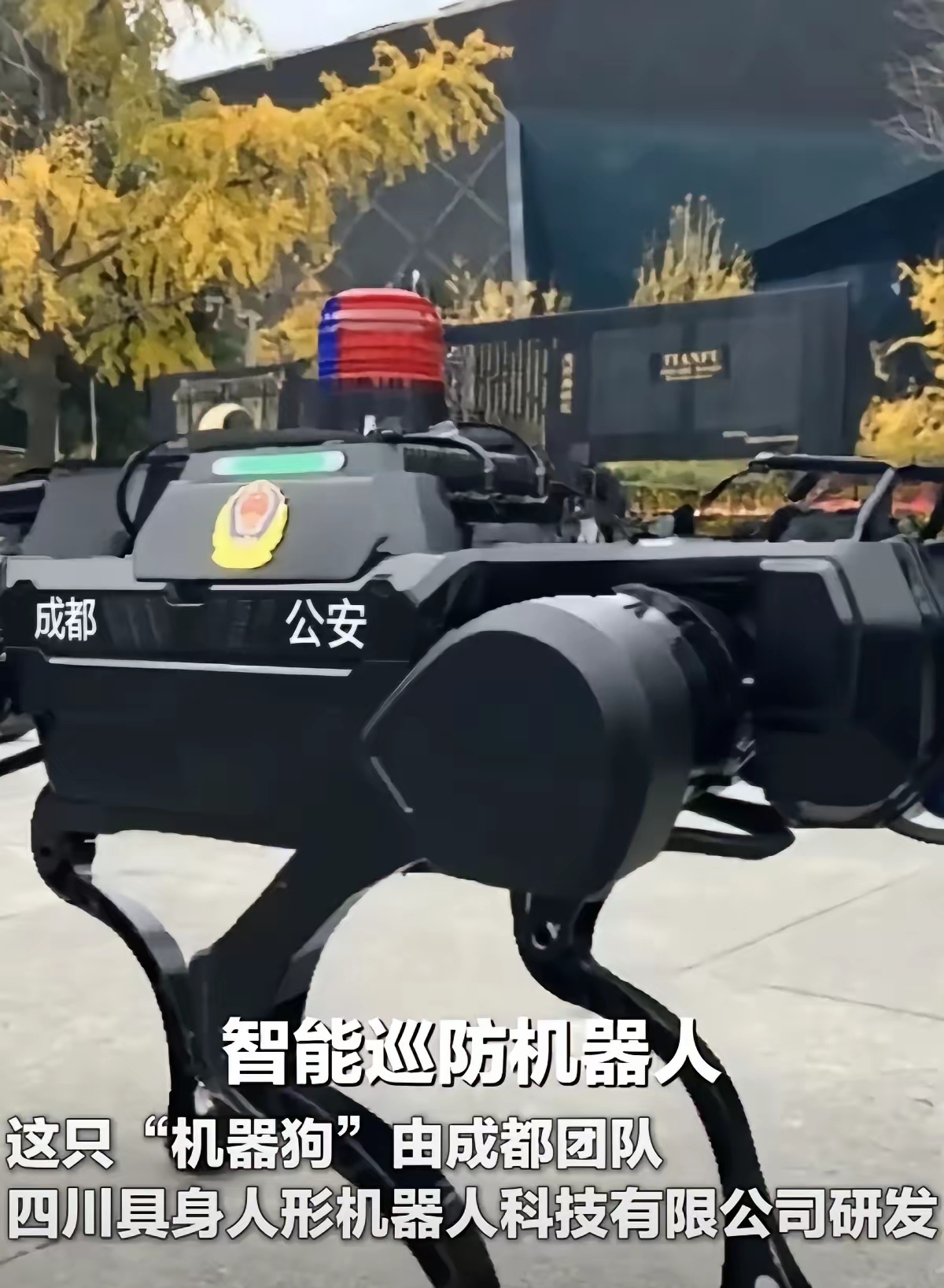 狗干活,应该不得累,也不怕高温酷暑刮风下雨,今后会完全取代警犬么?