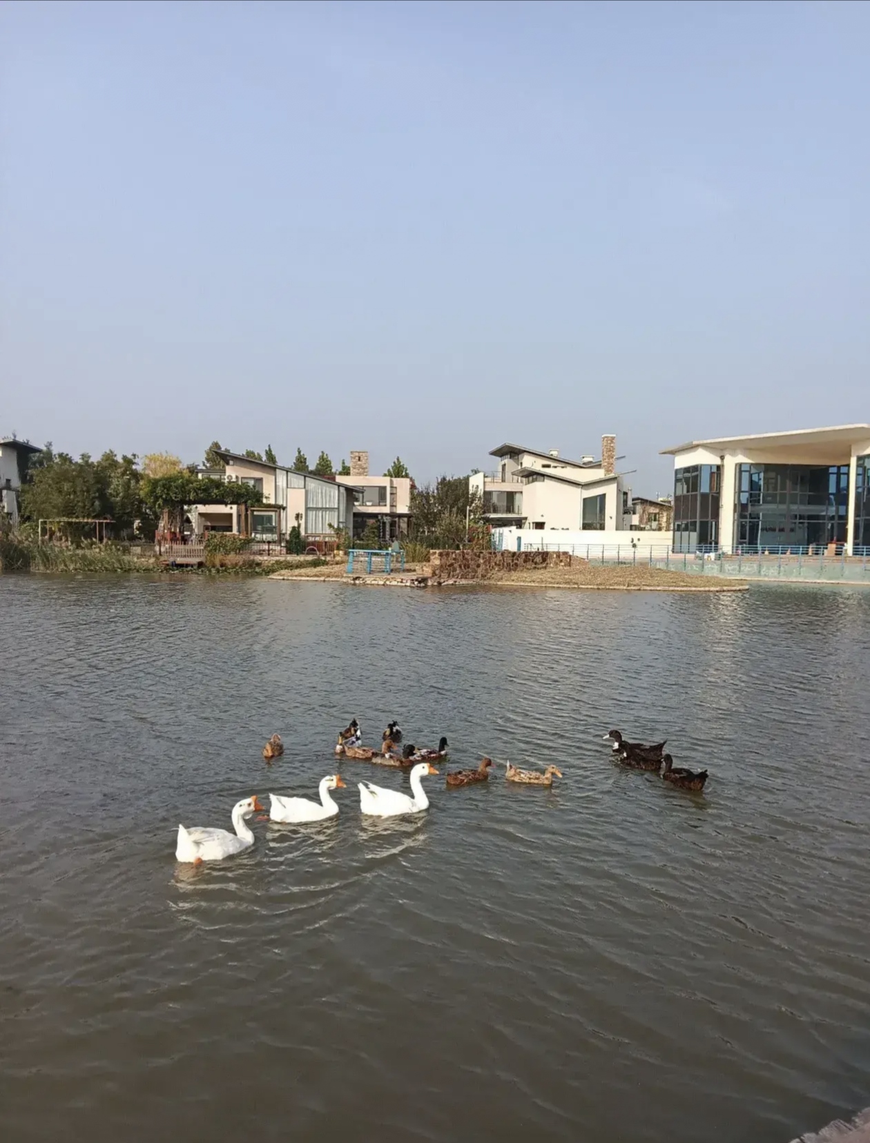 直面衰老:残酷现实与无奈抉择