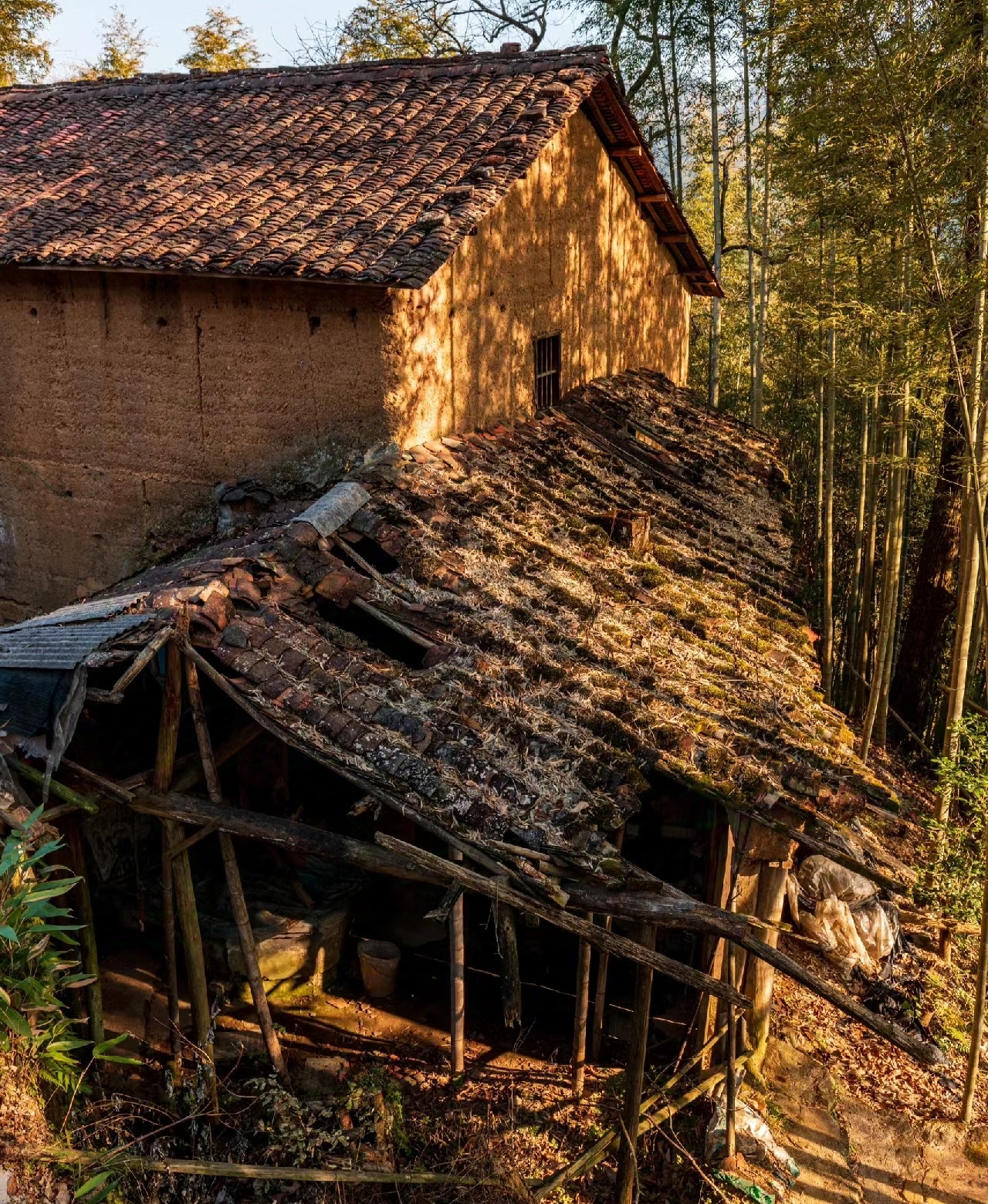 微风拂过,树叶沙沙作响,与古村的静谧相得益彰,共同勾勒出一幅