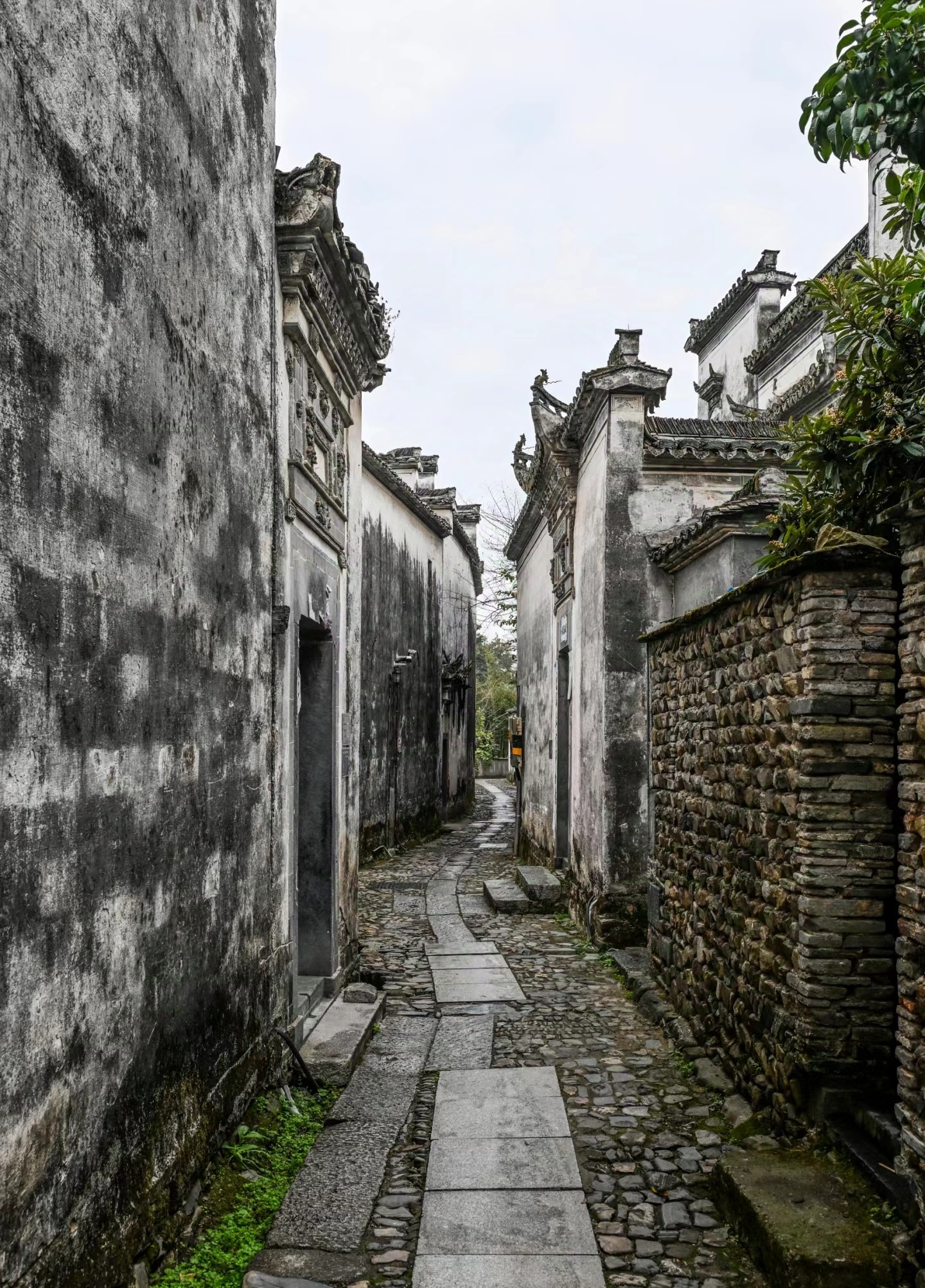 南屏古村,以其静谧的姿态静静矗立,时光仿佛在这里放慢了脚步,让人