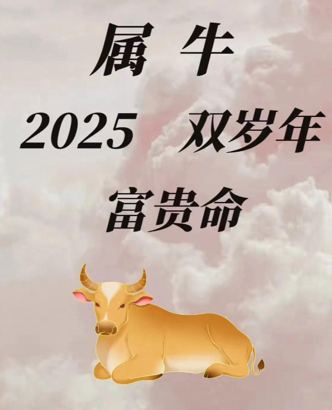 生肖牛11月初生的运势(生肖牛11月出生的运势)