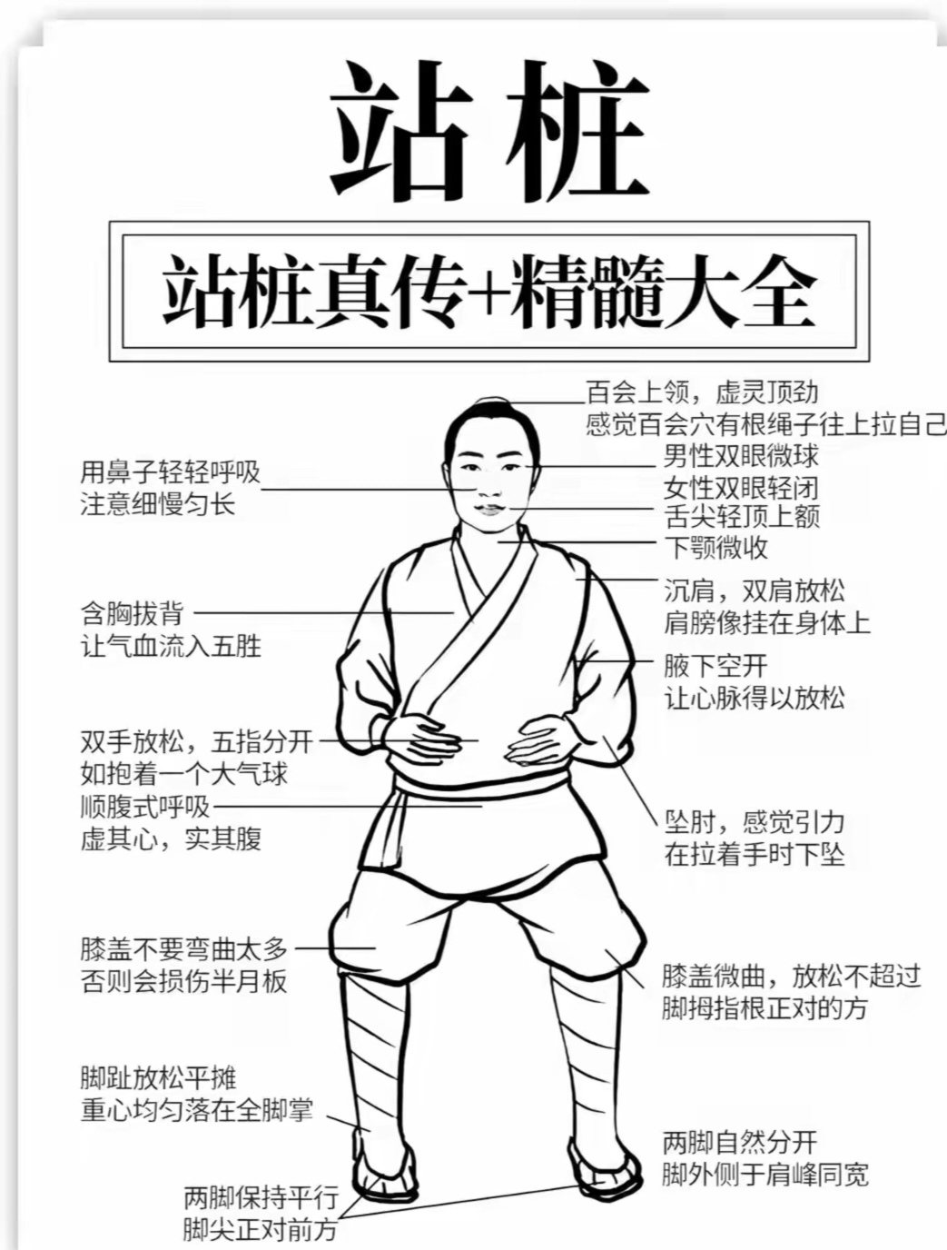 做到"沉肩坠肘"和"头上领"是桩功重点,眼睛半闭着看向腹部肚脐下,用顺