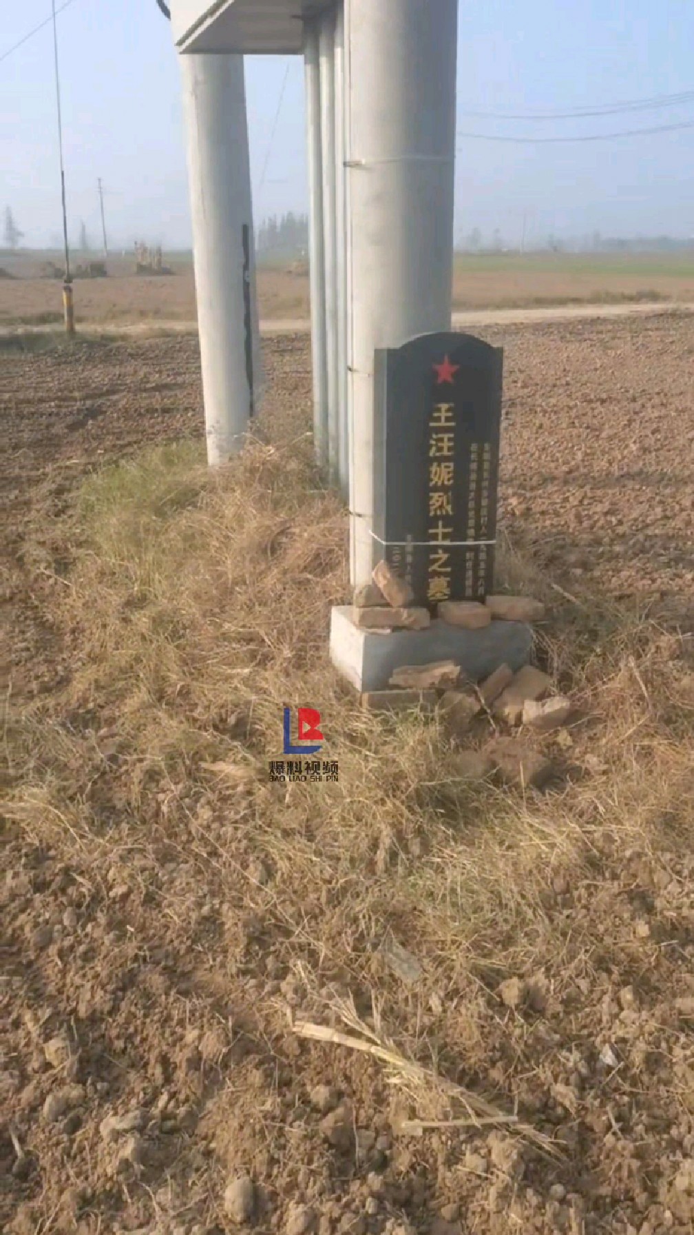 山东一田地里一烈士石碑被绳子绑在电线杆上引发网友强烈不满