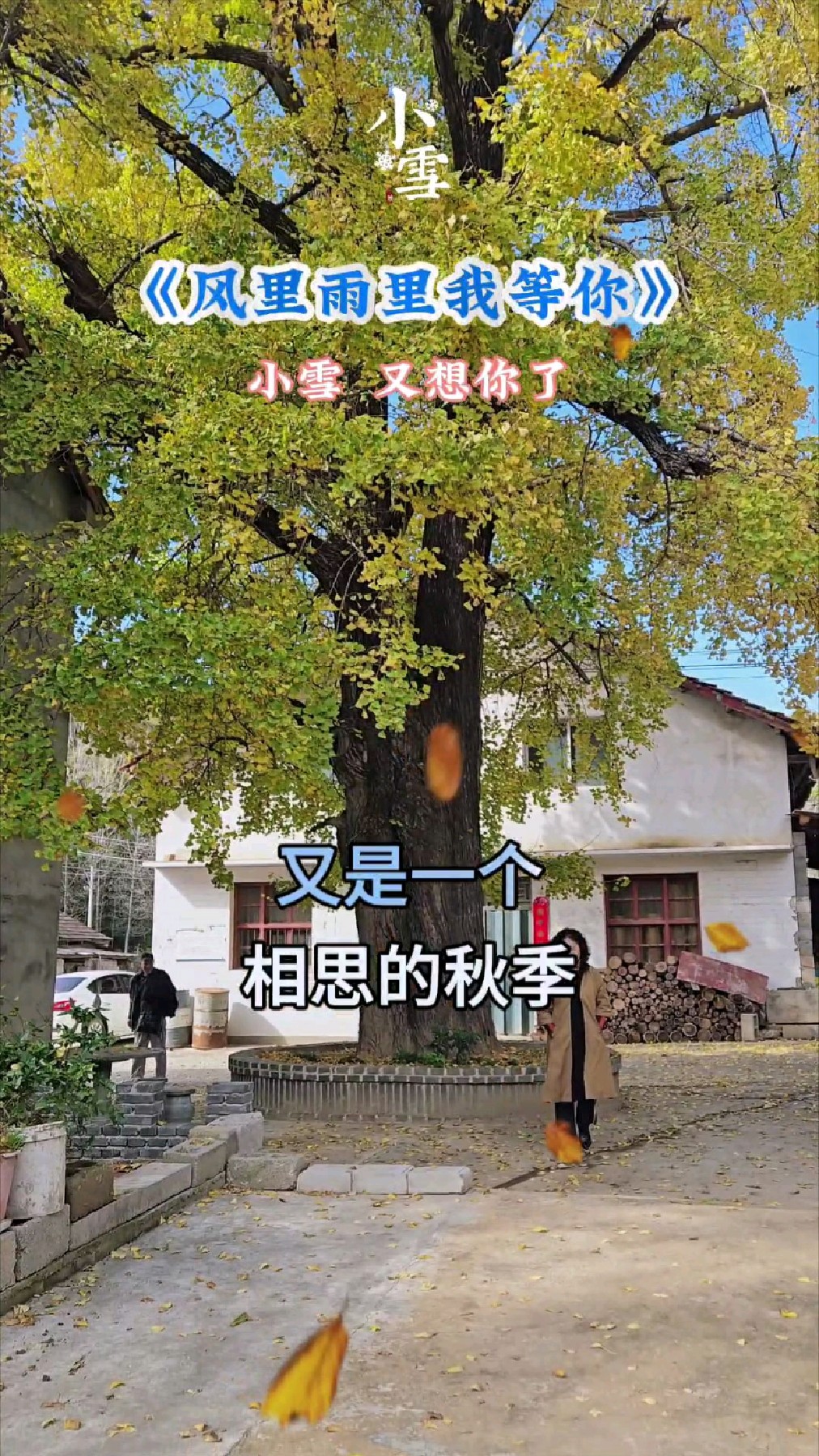 一曲《风里雨里我等你》,唱尽爱情里的执着等待.