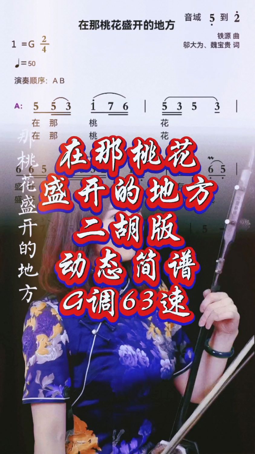 《在那桃花盛开的地方》二胡示范
