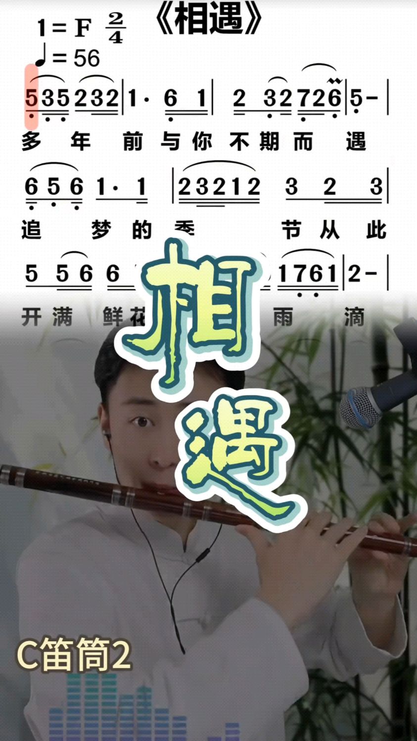 《相遇》笛子动态简谱示范