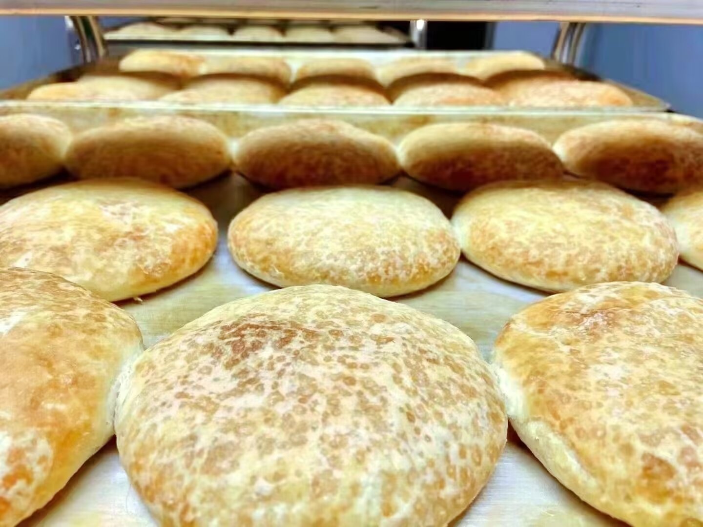 酸奶面饼抖音=酸奶饼子的做法大全集
