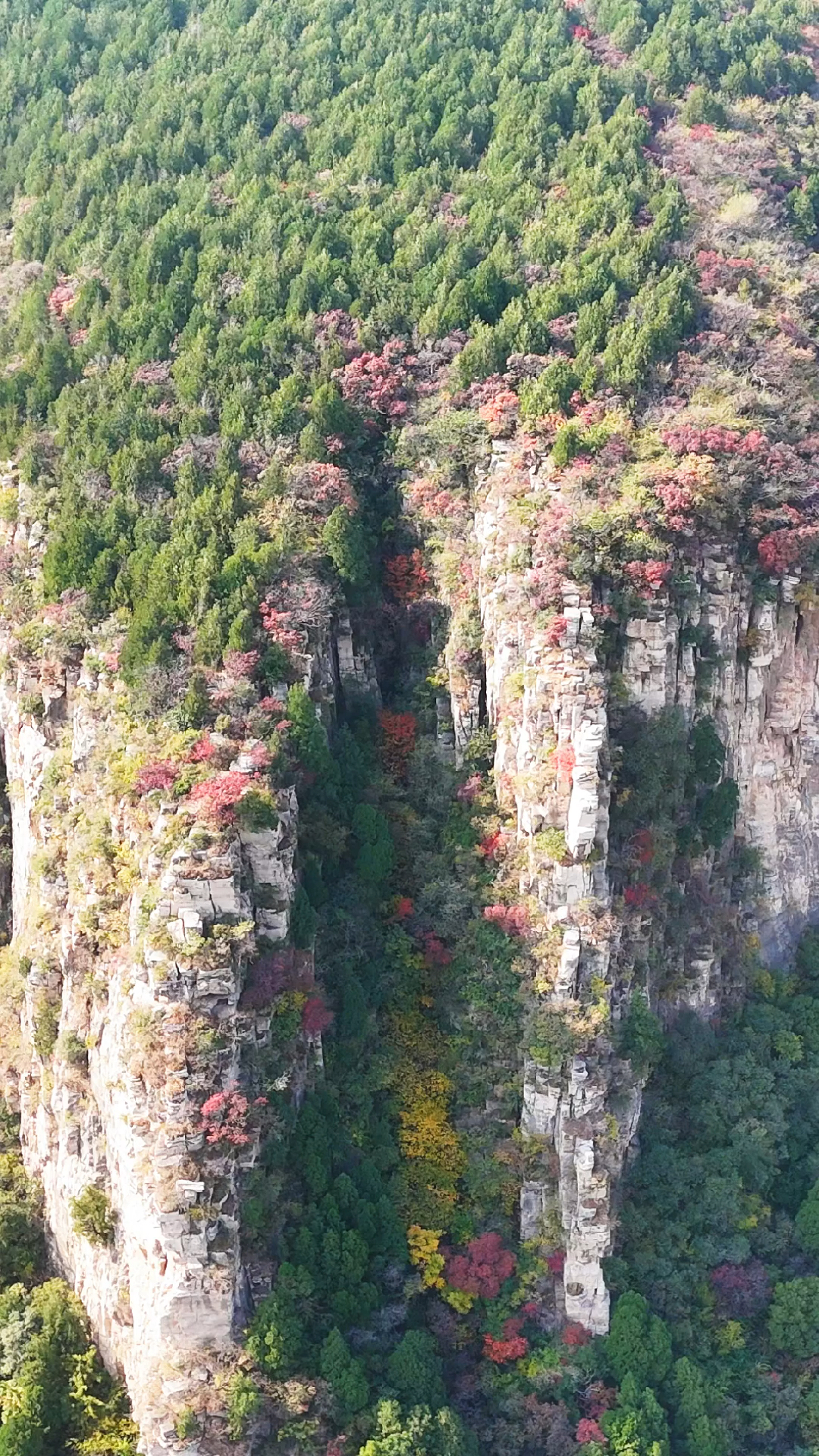 济南一线天藏龙涧图片图片