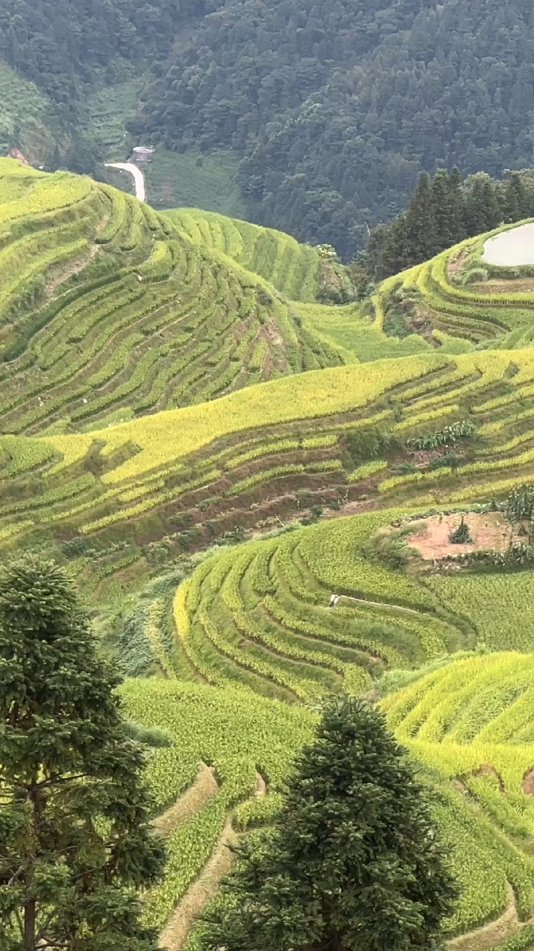 广西龙胜十大旅游景点图片