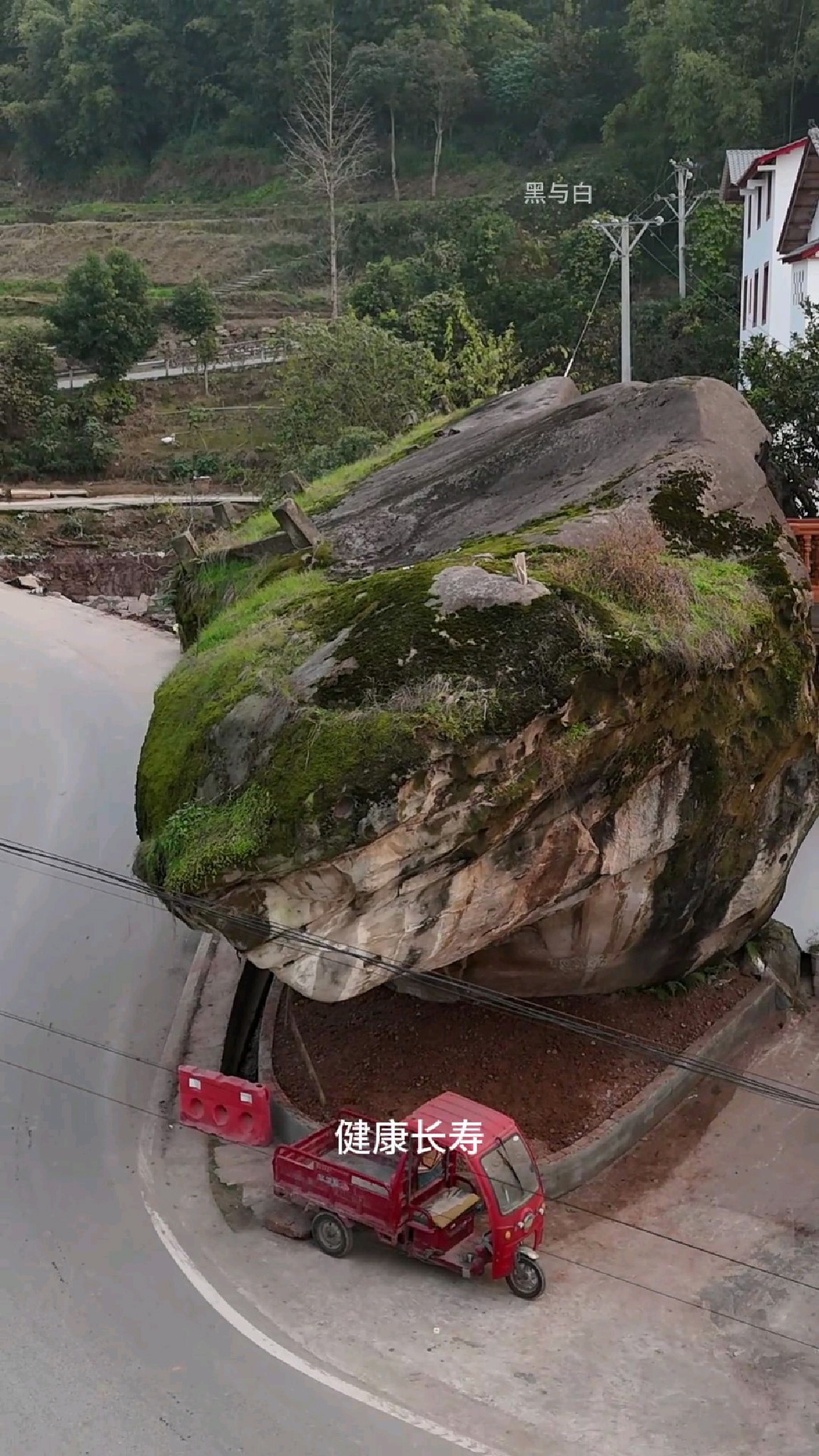 重庆涪陵发现一块奇特的巨石,外形酷似乌龟,整个村子的镇村之宝