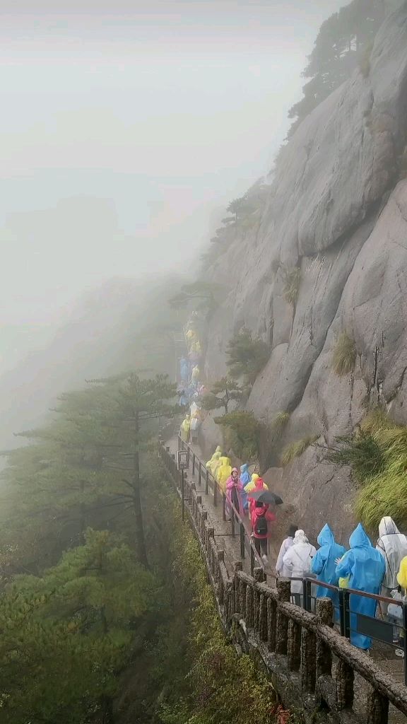 雨中云雾缭绕的黄山图片