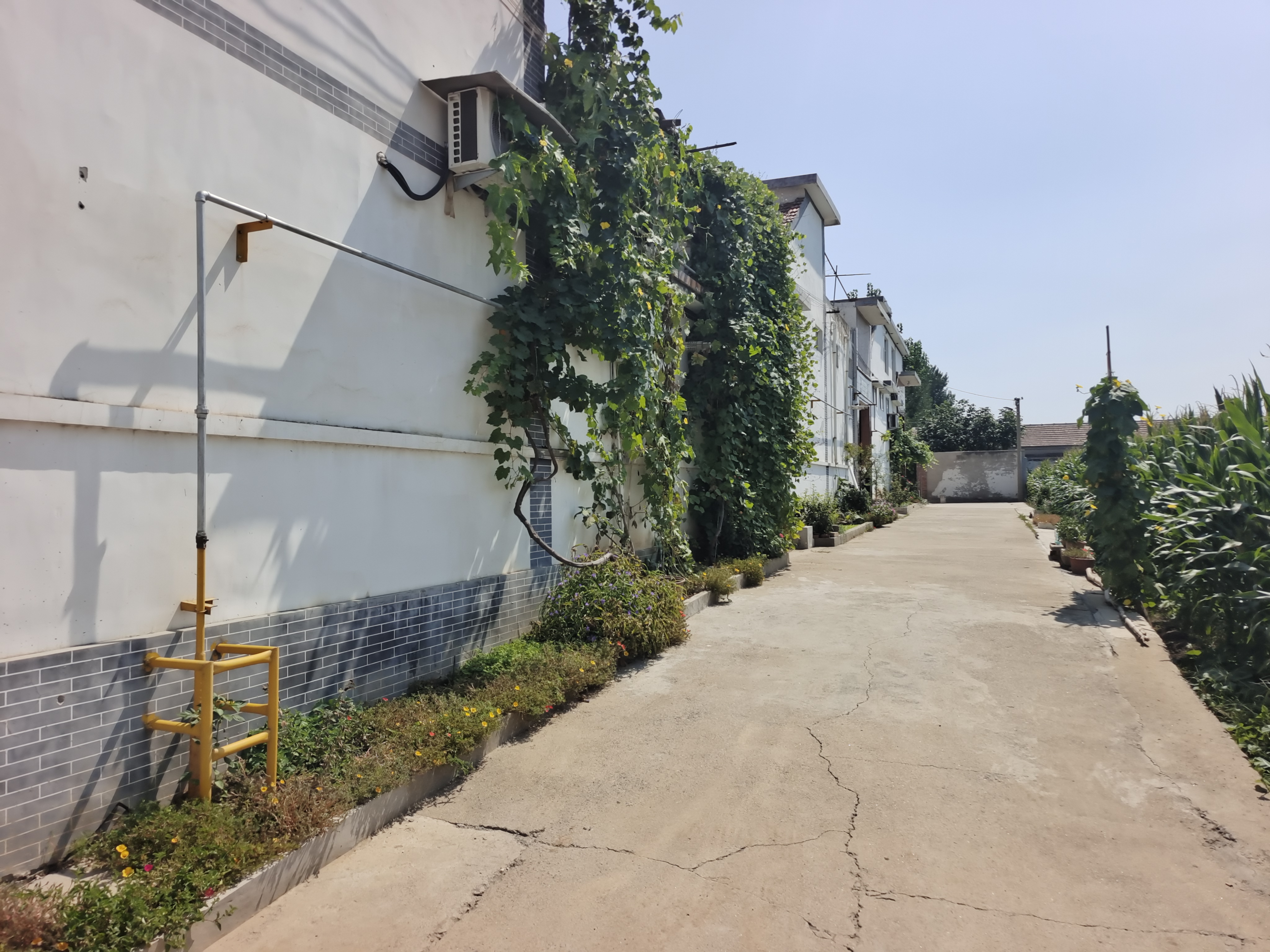 济南章丘北河村很小,全村只有一条中心大街,却出了两名博士后一名博士